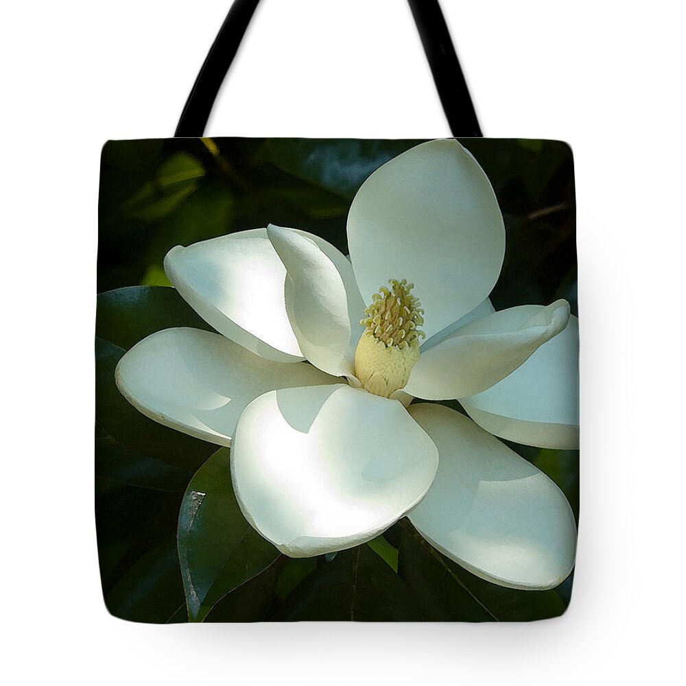 Botanical Tote Bag featuring the photograph Magnolia by Frank Tozier