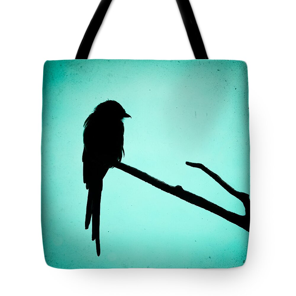 Bird Tote Bag featuring the photograph Magpie Shrike Silhouette by Gary Heller