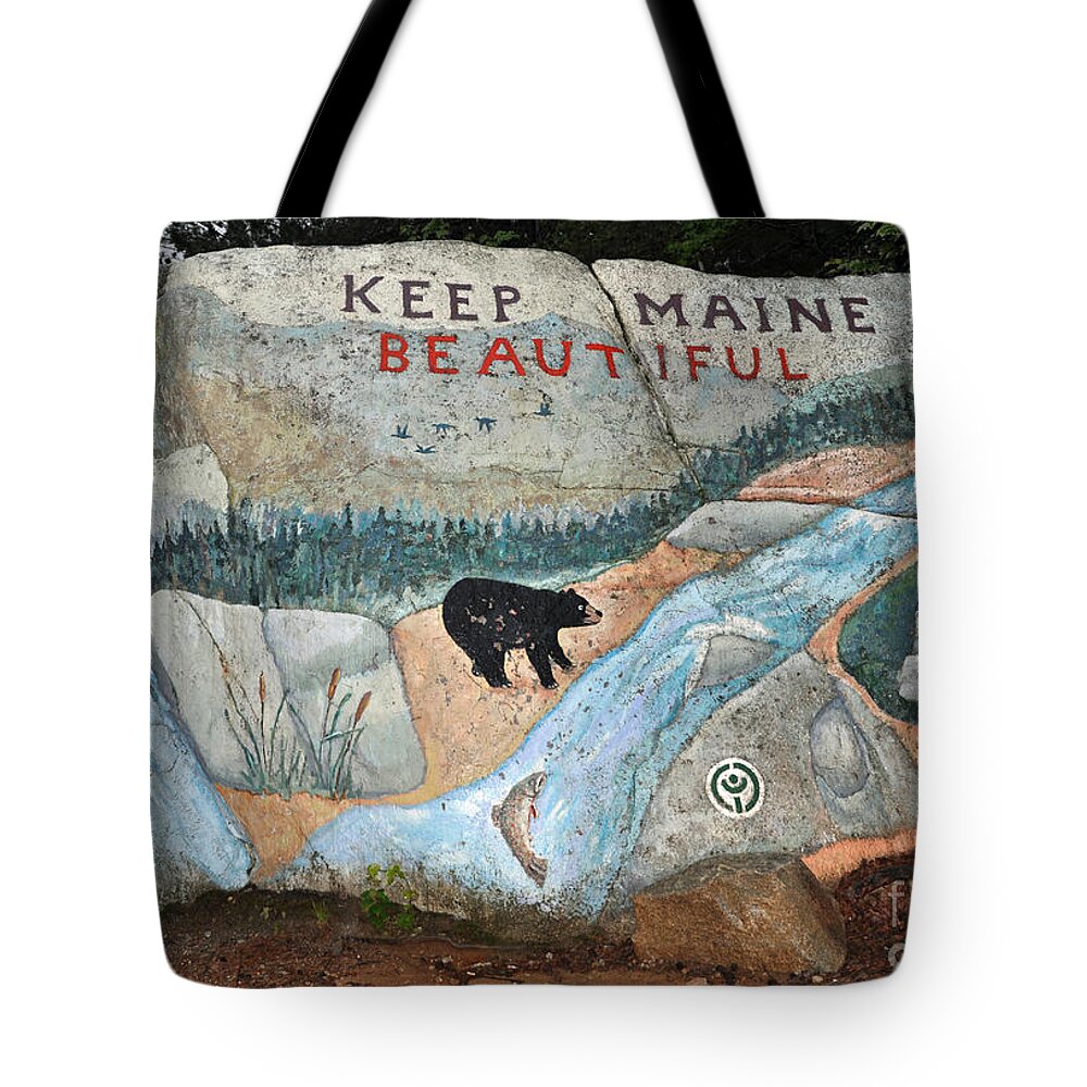 Baxter State Park Tote Bag featuring the photograph Maine Rock Painting by Glenn Gordon
