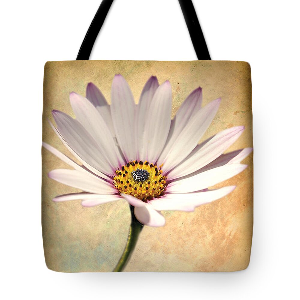 Flower Image Print Tote Bag featuring the digital art Maisy Daisy by David Davies