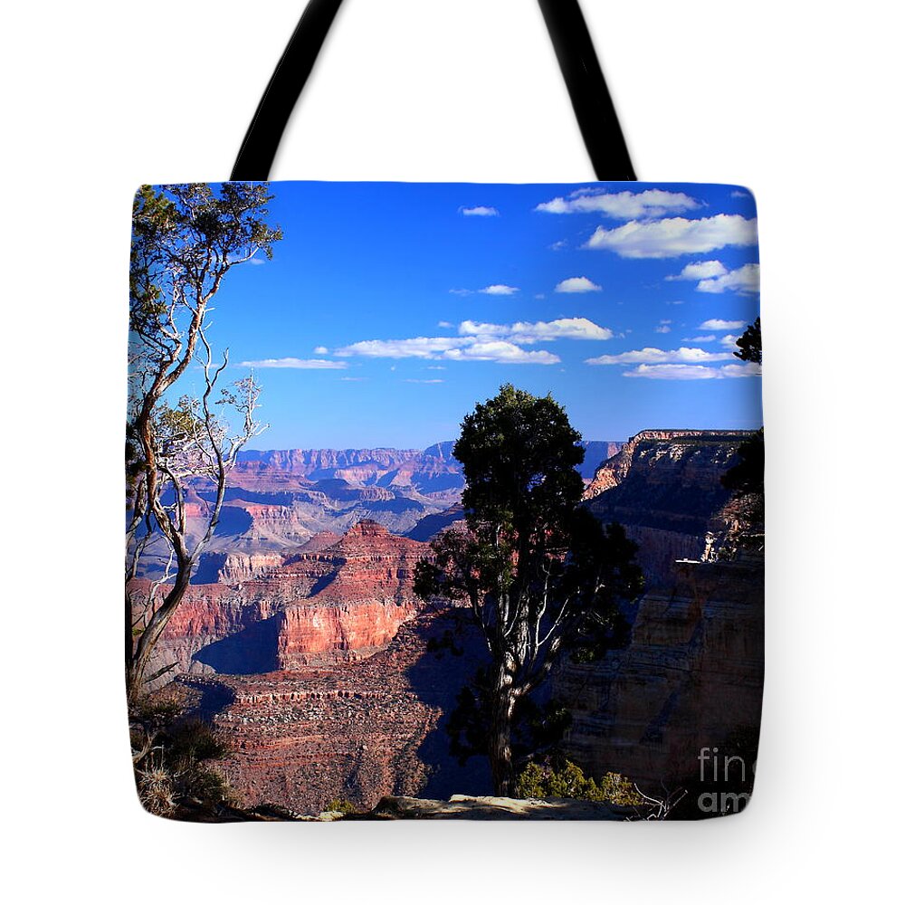 Majestic Canyon Tote Bag featuring the photograph Majestic Canyon by Patrick Witz