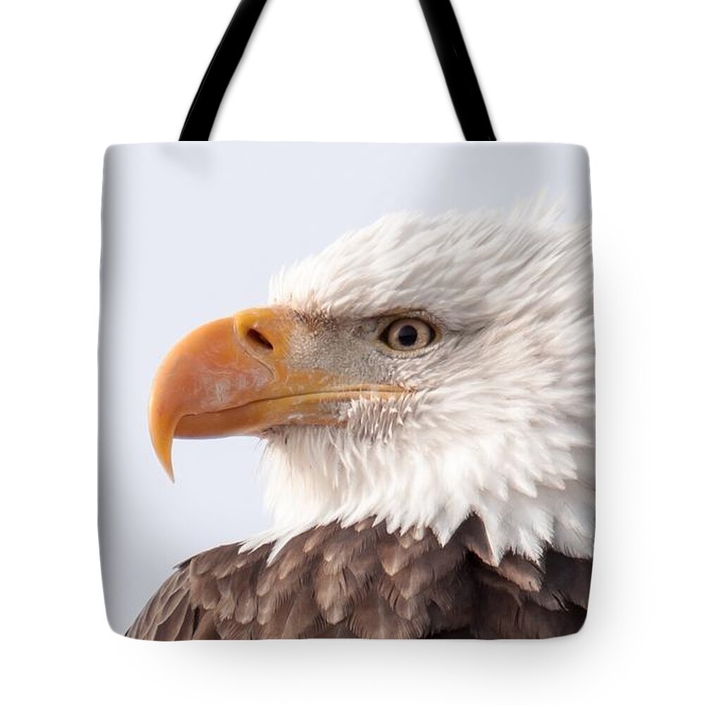 Eagle Tote Bag featuring the photograph Majestic by Donald J Gray
