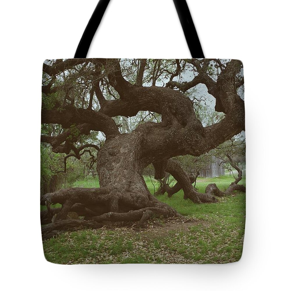 Majestic Tote Bag featuring the photograph Majestic by Gary Richards