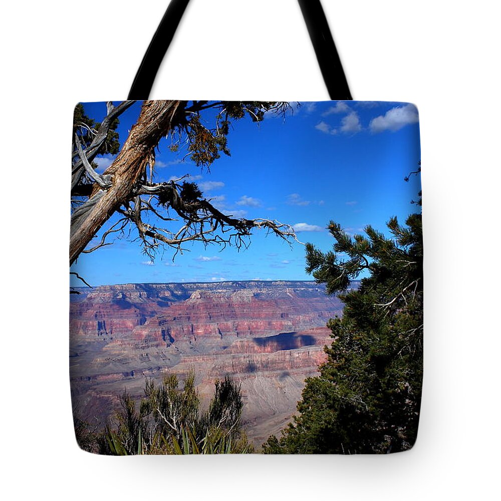 Grandeur Tote Bag featuring the photograph Majestic Grandeur by Patrick Witz