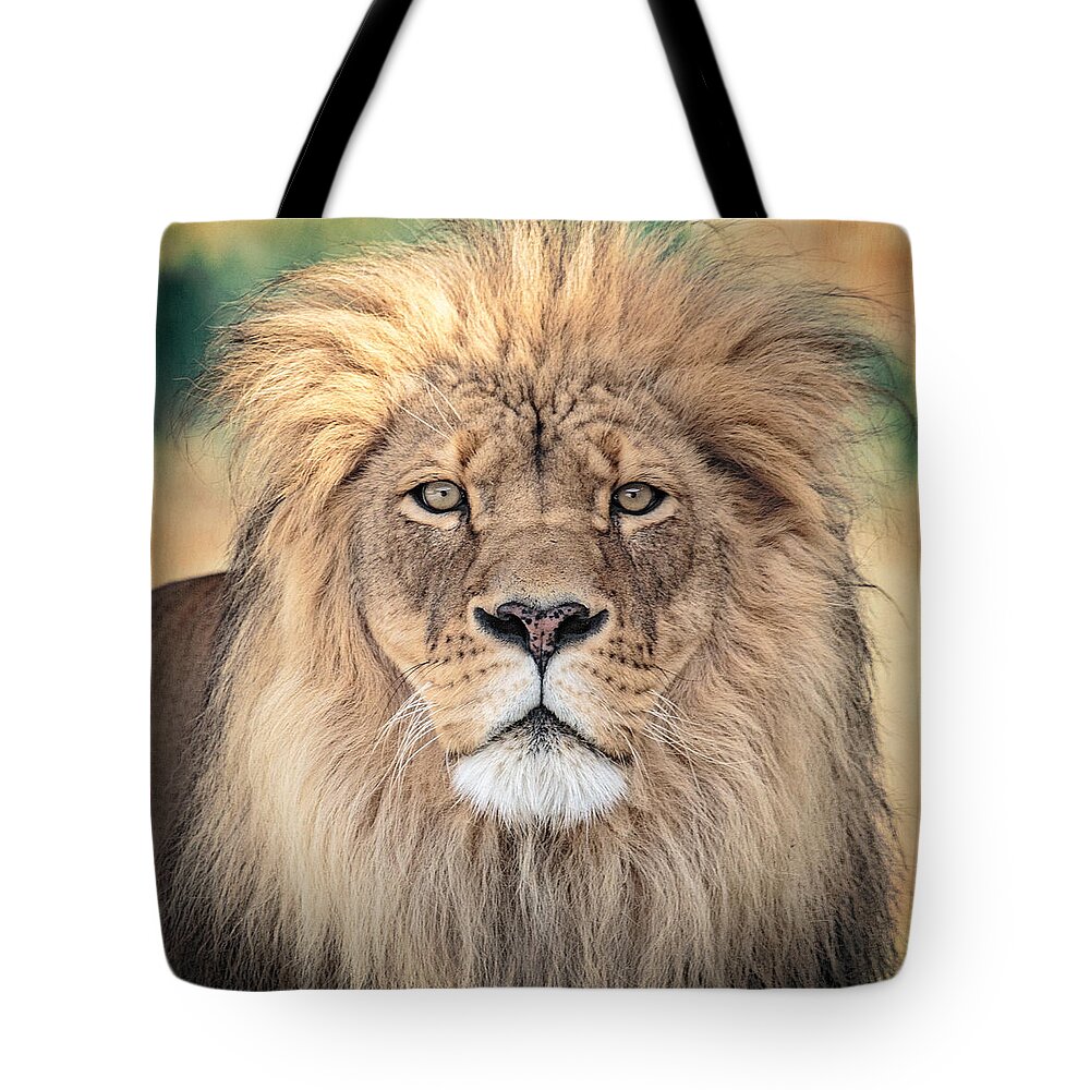 Lion Tote Bag featuring the photograph Majestic King by Everet Regal