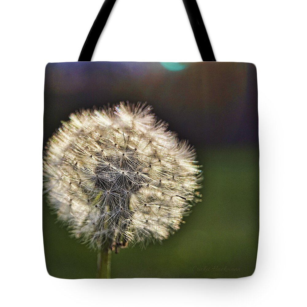 Dandelion Tote Bag featuring the photograph Make A Wish by Cricket Hackmann