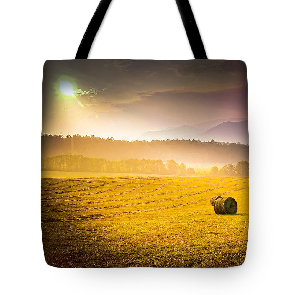 Make Hay Tote Bag featuring the photograph Make Hay while the Sunshines by Randall Branham