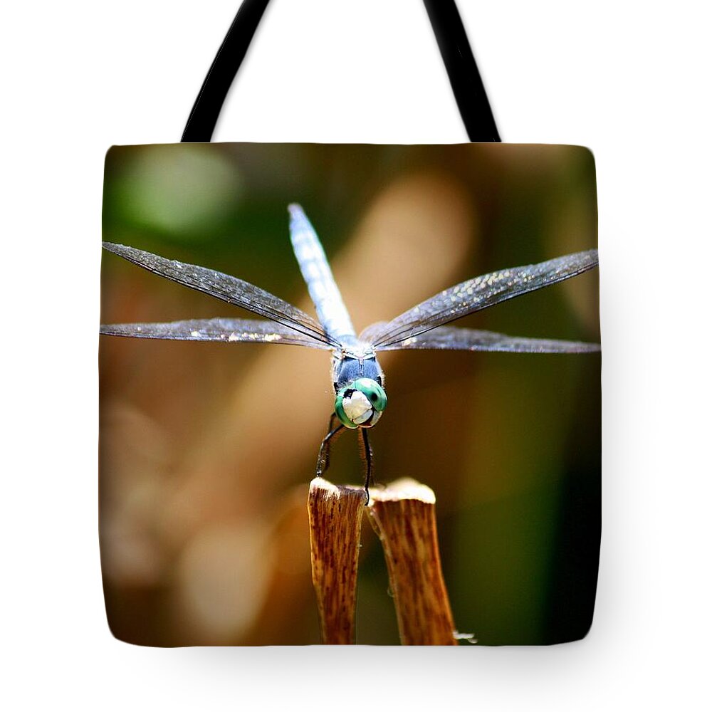 Dragonfly Tote Bag featuring the photograph Made Ya Smile by Patrick Witz