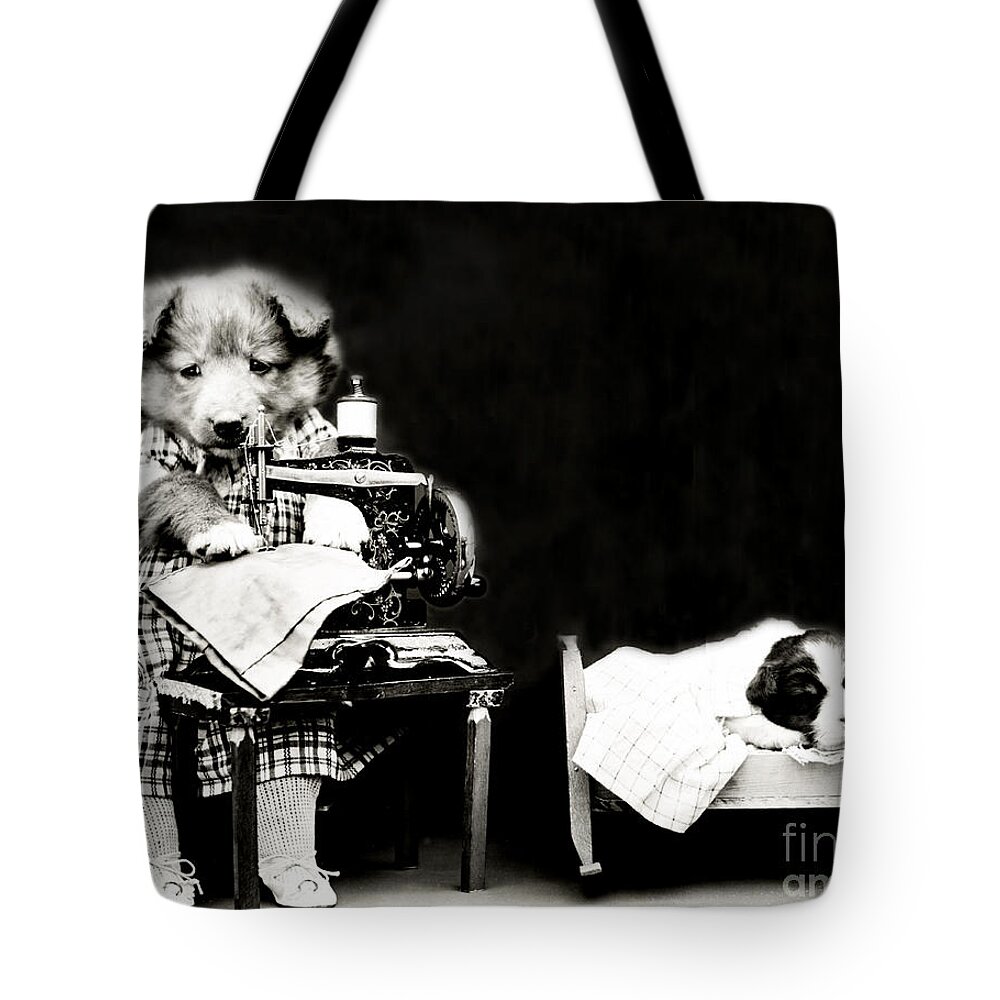 Animal Portrait Tote Bag featuring the photograph Making Babys Clothes 1914 by Science Source
