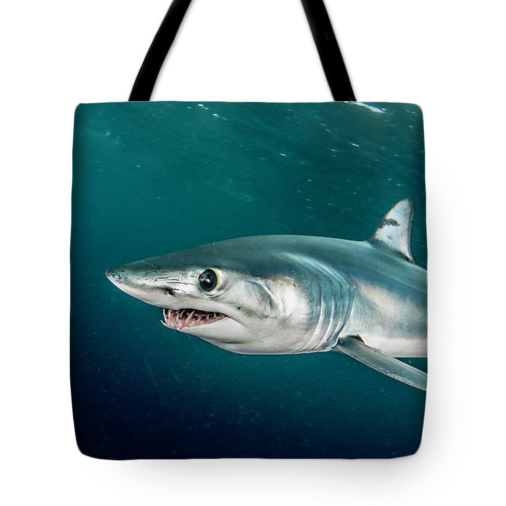 Underwater Tote Bag featuring the photograph Mako On Patrol by By Wildestanimal