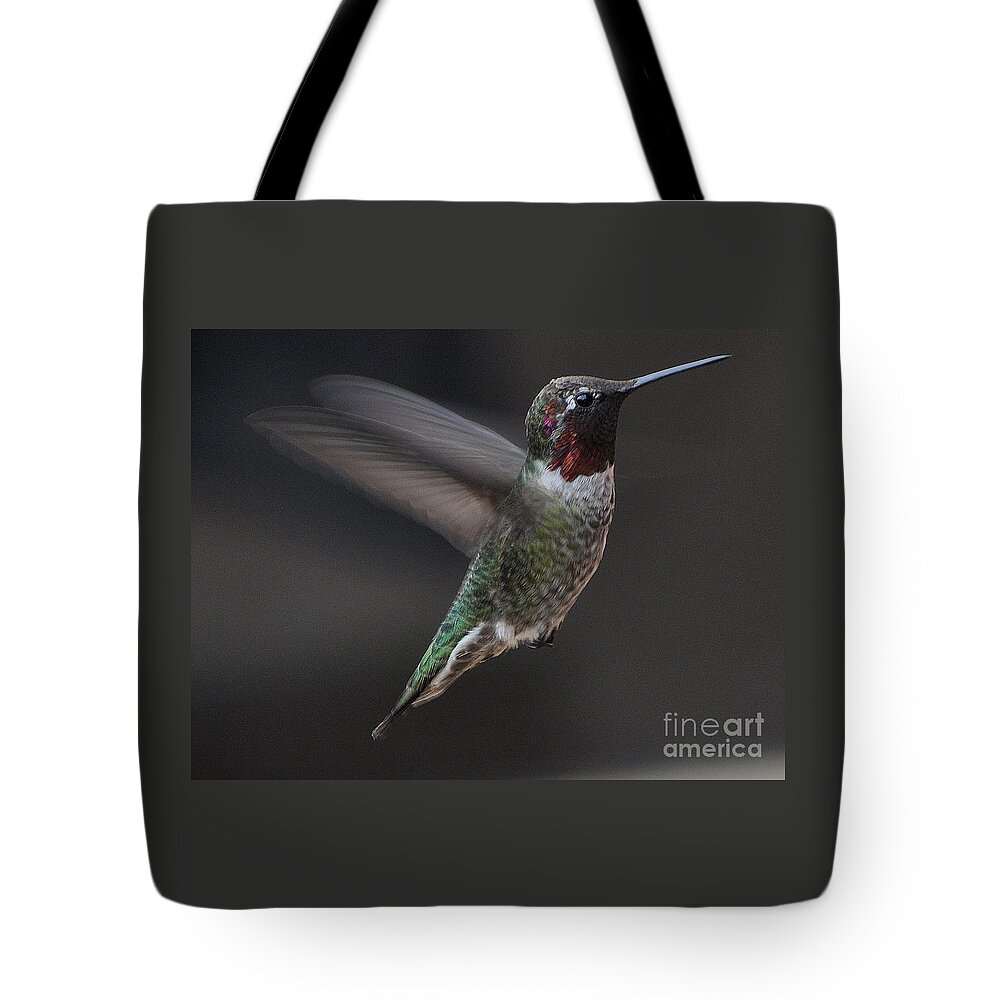 Hummingbird Tote Bag featuring the photograph Male Anna Hummingbird In Flight by Jay Milo