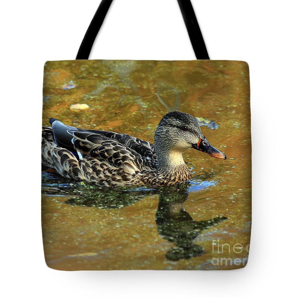 Bird Tote Bag featuring the photograph Mallard Duck by Teresa Zieba