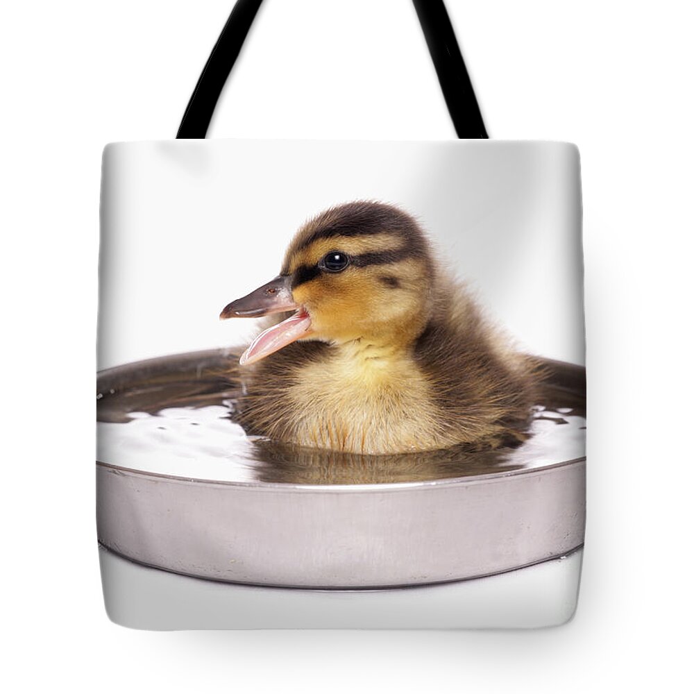Cut Out Tote Bag featuring the photograph Mallard Duckling by Chris Brignell/FLPA