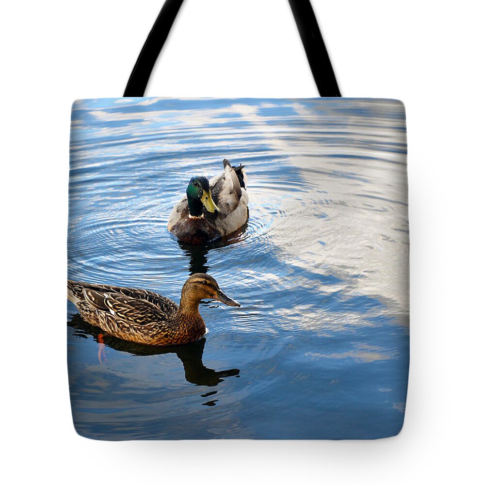 Ducks Tote Bag featuring the photograph Mallards Lake Hopatcong NJ by Maureen E Ritter