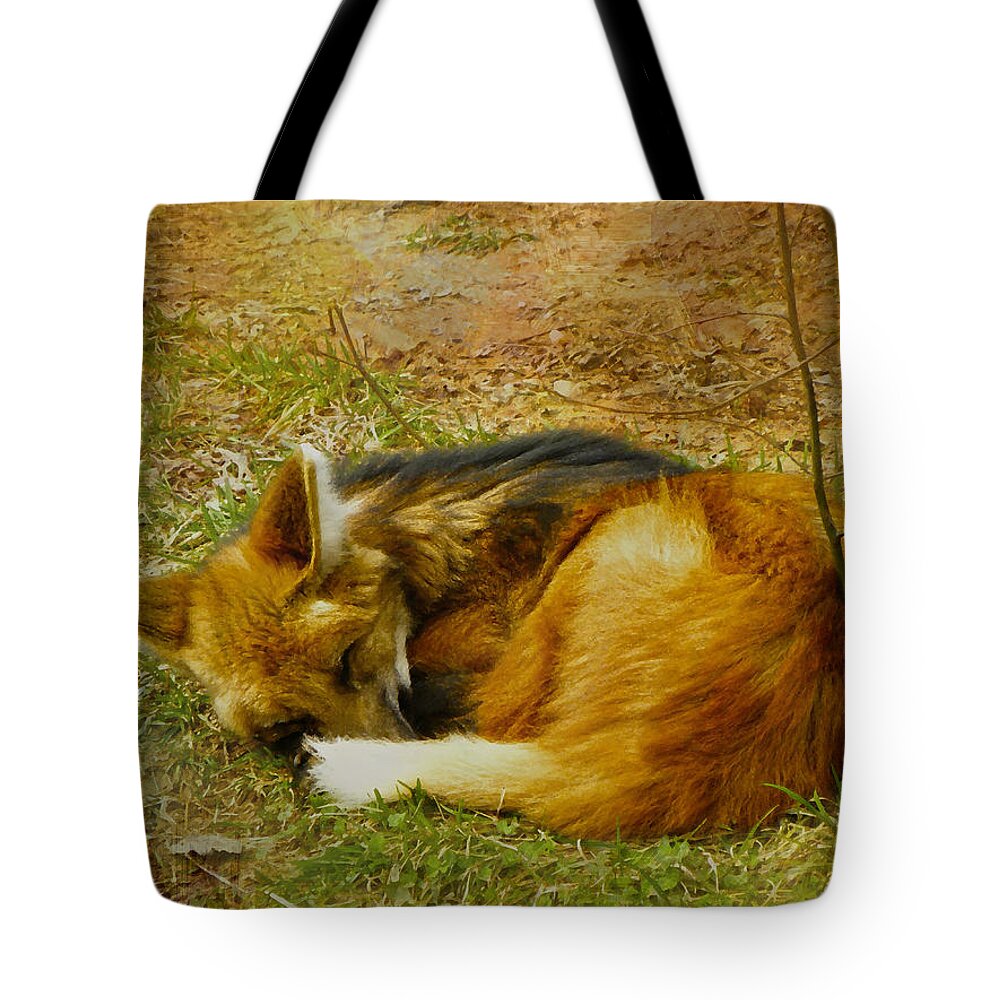 Maned Wolf Tote Bag featuring the photograph Maned Wolf by Sandi OReilly
