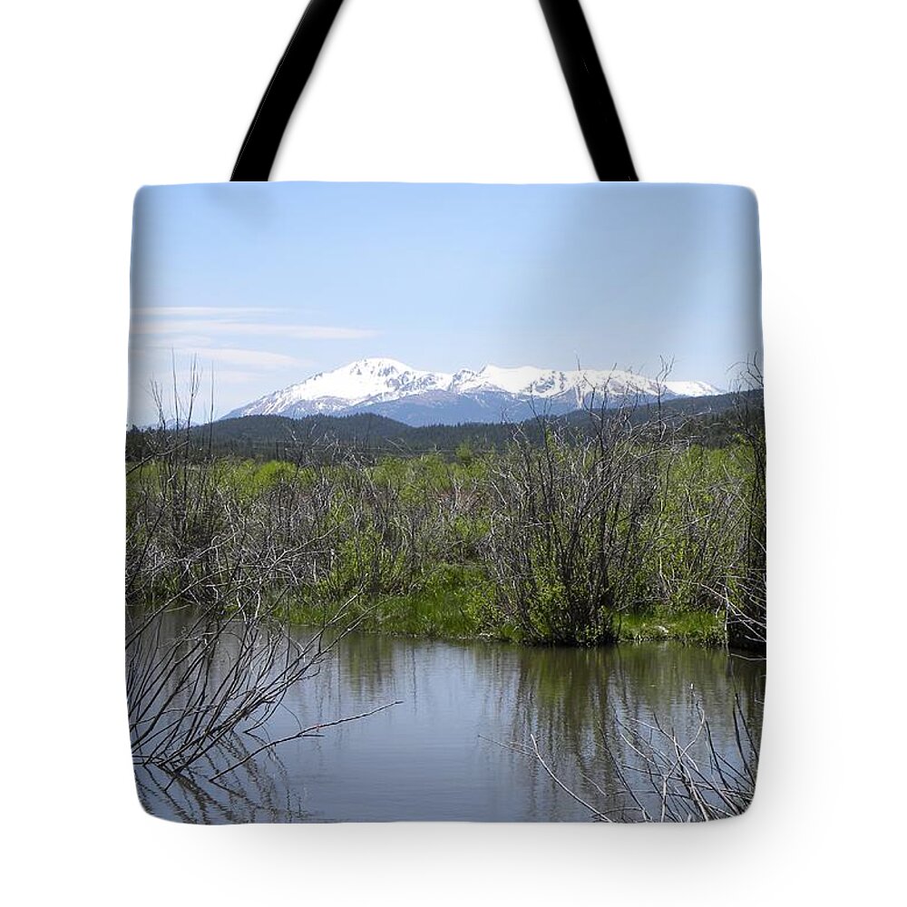 Berg Tote Bag featuring the photograph Lake Manitou SP Woodland Park CO by Margarethe Binkley