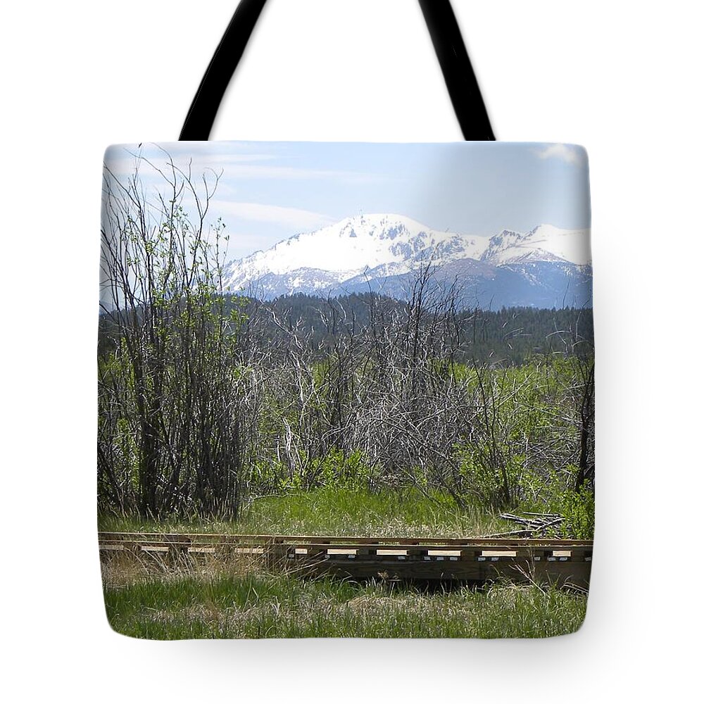 Berg Tote Bag featuring the photograph Lake Manitou SP Woodland Park CO #2 by Margarethe Binkley