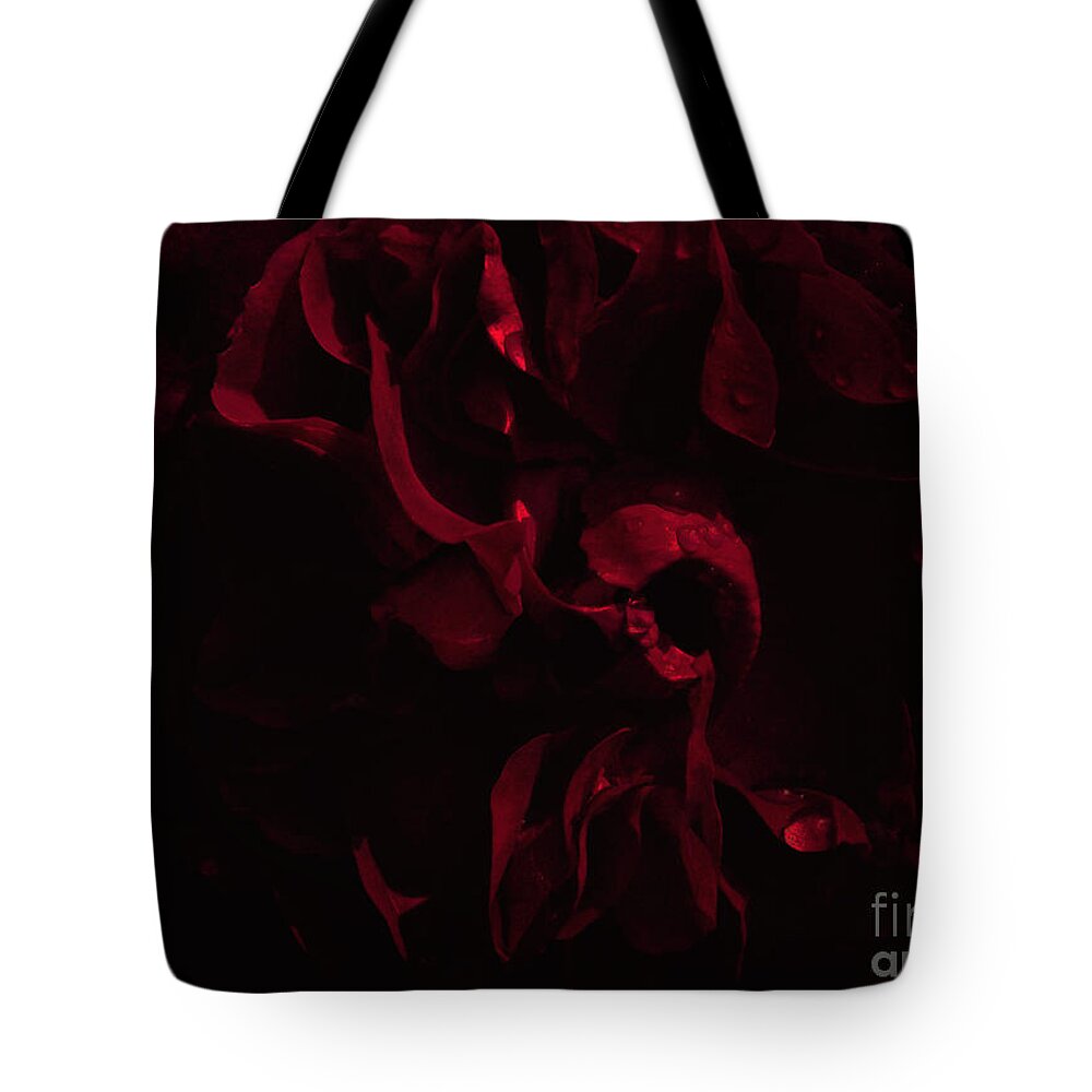 Mansfield Park Tote Bag featuring the photograph Mansfield Park David Austin Rose by Cassandra Buckley