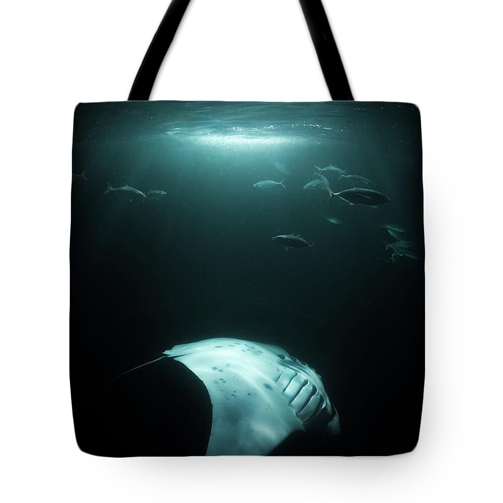 Animal Themes Tote Bag featuring the photograph Manta Ray Swims Under Light At Night by Sirachai Arunrugstichai