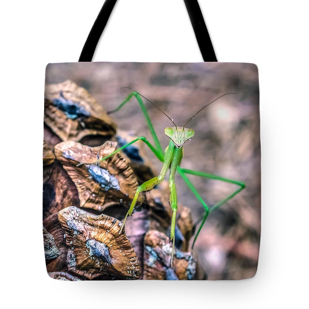 Animal Tote Bag featuring the photograph Mantis On A Pine Cone by Traveler's Pics