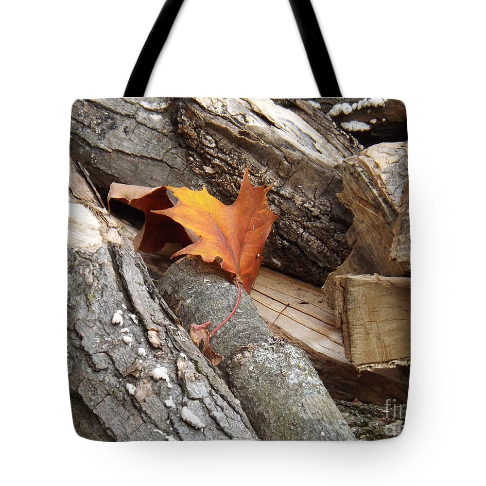 Leaf Tote Bag featuring the photograph Maple Leaf in wood pile by Brenda Brown