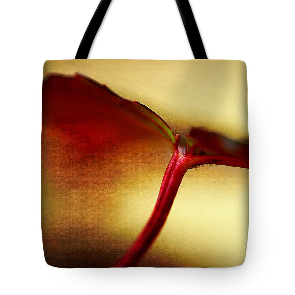 Maple Leaf Tote Bag featuring the photograph Maple Leaf by Michael Eingle