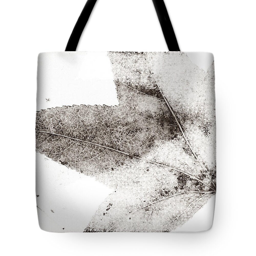 Leaf Tote Bag featuring the photograph Maple Leaf Nature 1 Macro Image Art by Jo Ann Tomaselli