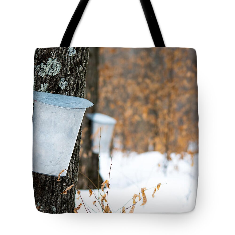 Landscape Tote Bag featuring the photograph Maple Syrup Time by Cheryl Baxter