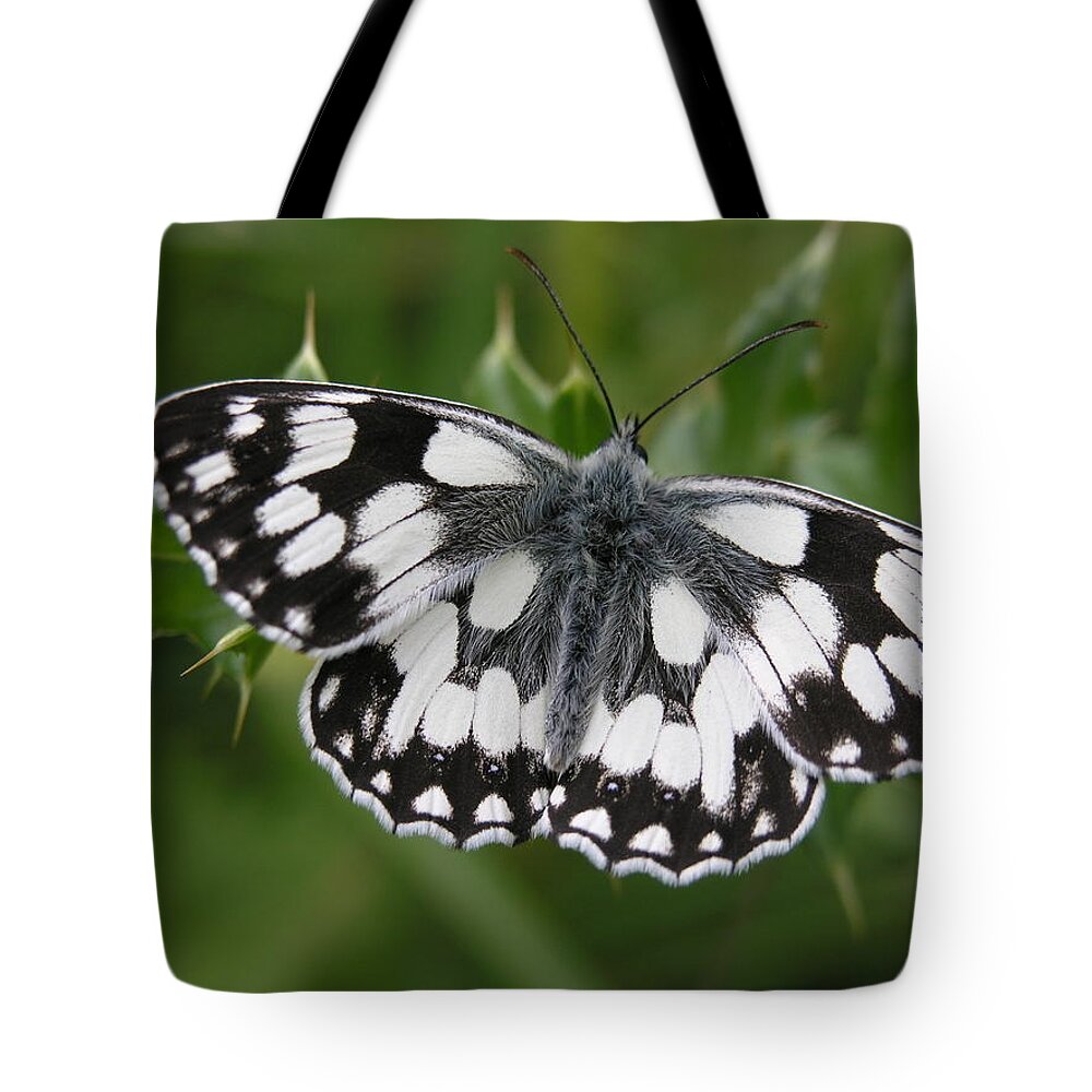 Butterfly Tote Bag featuring the photograph Marbled white by Ron Harpham