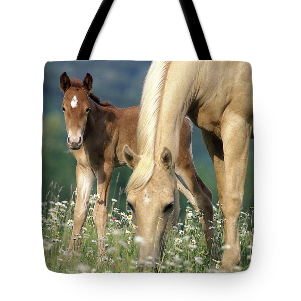 Horse Tote Bag featuring the photograph Mare And Foal In Meadow by Rolf Kopfle
