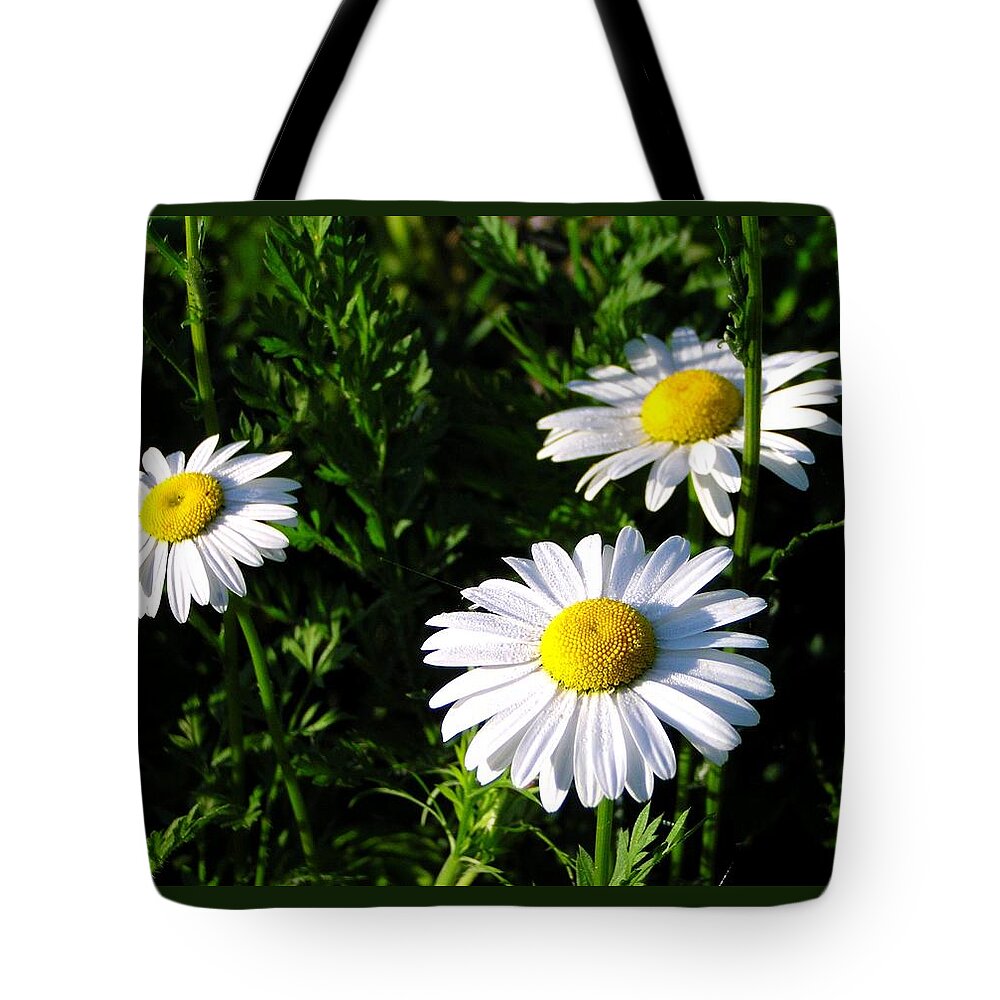 Daisy Tote Bag featuring the photograph Margeritaville by Gigi Dequanne