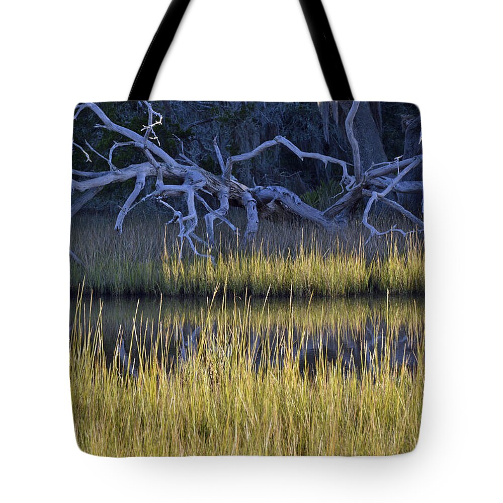 Jekyll Tote Bag featuring the photograph Marsh Morning on Jekyll Island by Bruce Gourley