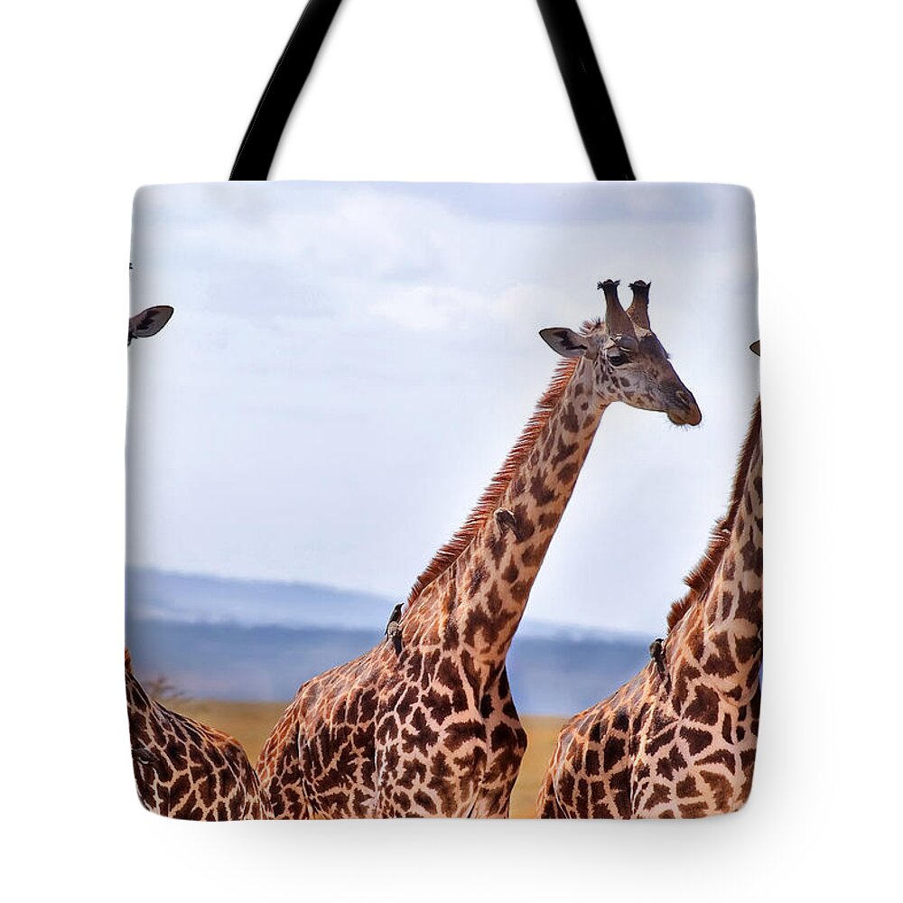3scape Photos Tote Bag featuring the photograph Masai Giraffe by Adam Romanowicz