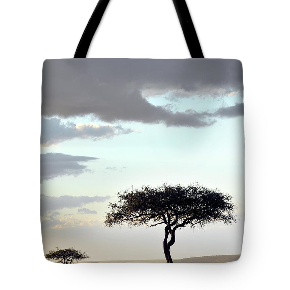 Scenics Tote Bag featuring the photograph Masai Mara Sunset And Acacias by Ignacio Palacios