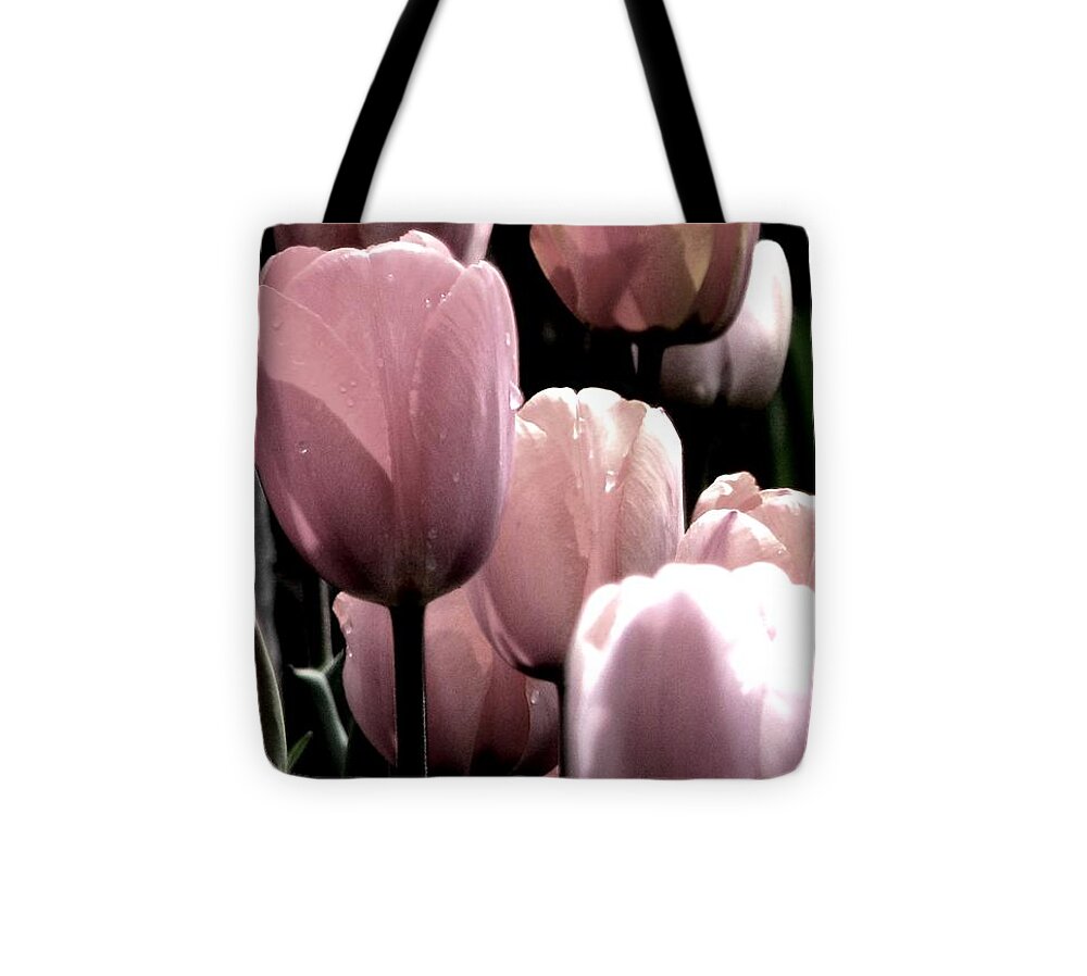 Pink Tulips Tote Bag featuring the photograph Mauve In The Morning by Angela Davies