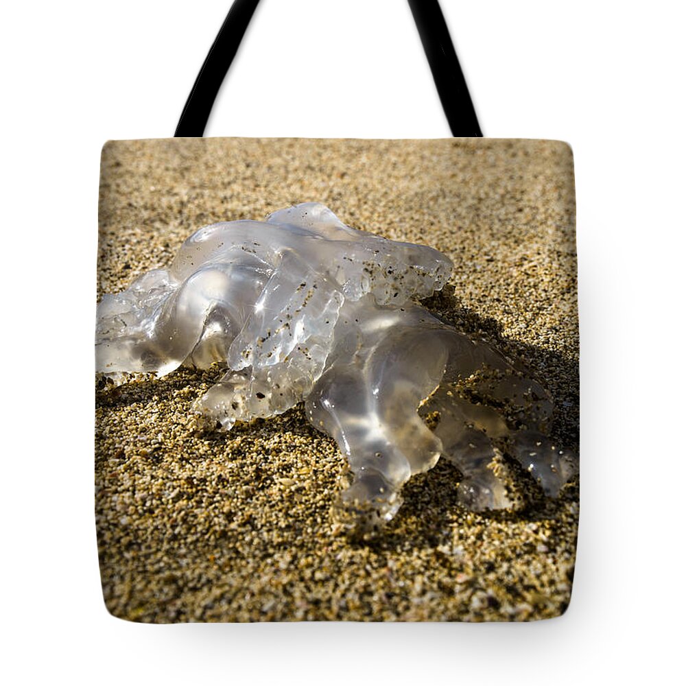 Medusa Tote Bag featuring the photograph Medusa by Michael Goyberg