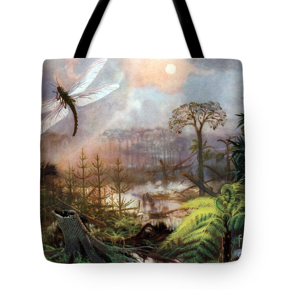 Flora Tote Bag featuring the photograph Meganeura In Upper Carboniferous by Science Source