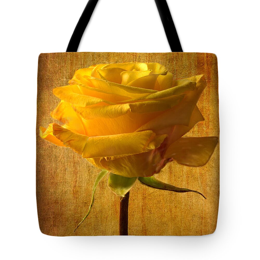 Yellow Rose Tote Bag featuring the photograph Mellow Yellow by Marina Kojukhova