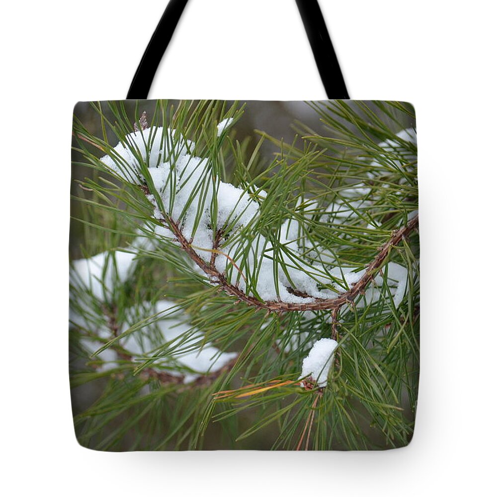 Melting Snow In The Pines Tote Bag featuring the photograph Melting Snow in the Pines by Maria Urso
