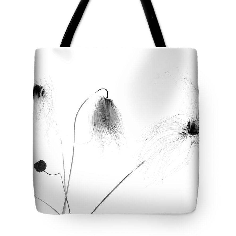 Flowers Tote Bag featuring the photograph Memories In Dreams by J C