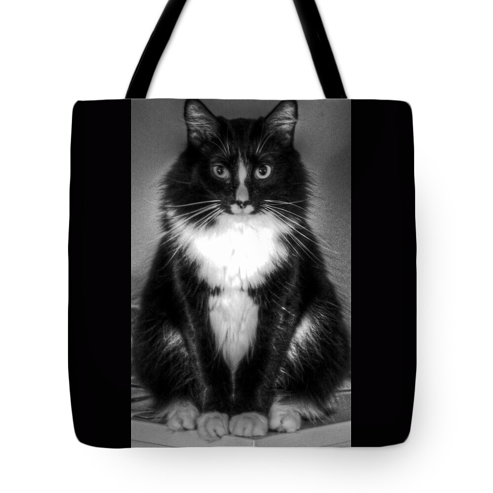 Merlin Tote Bag featuring the photograph Merlin by Andy Lawless