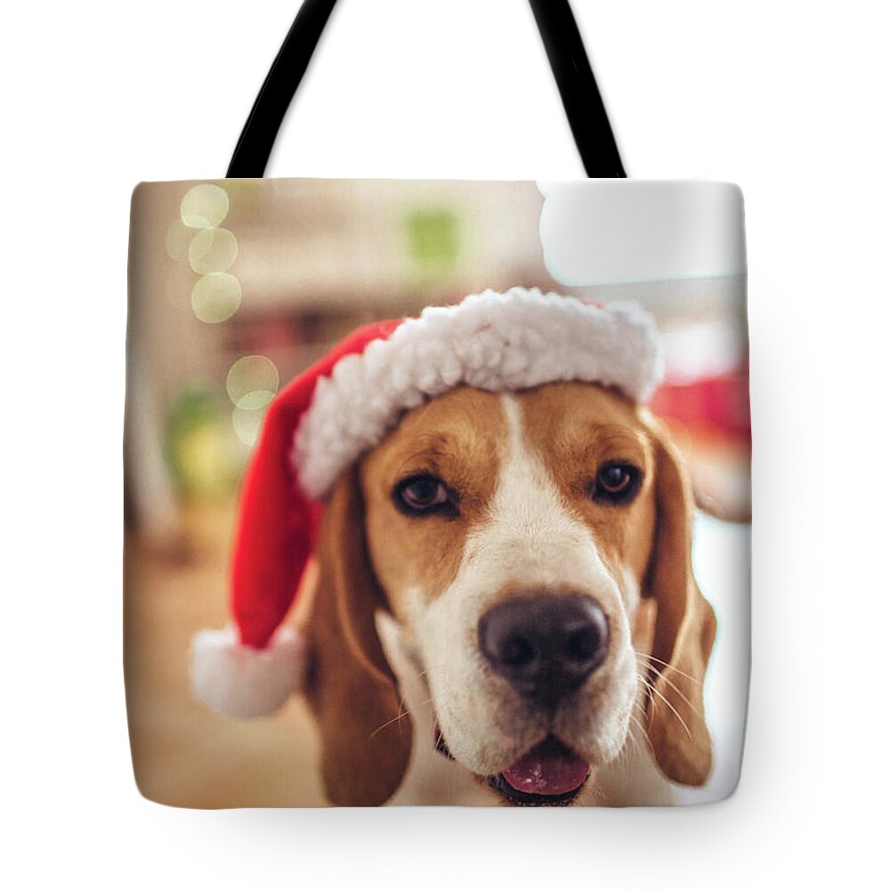 Pets Tote Bag featuring the photograph Merry Christmas by Aleksandarnakic