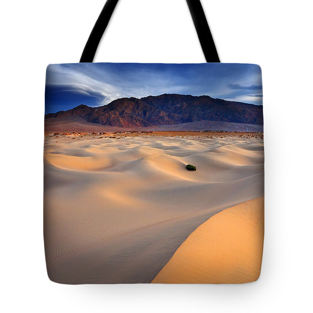 Death Valley Tote Bag featuring the photograph Mesquite Gold by Darren White