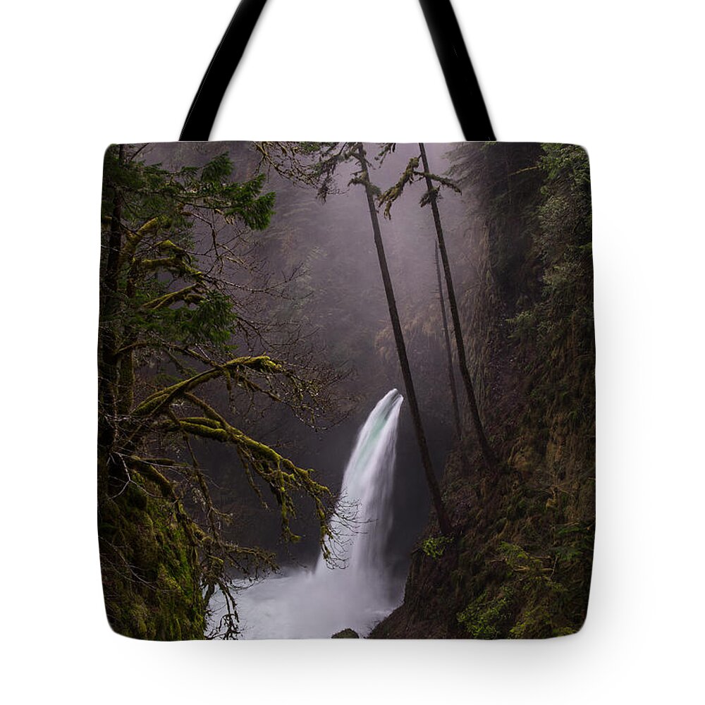 Creek Tote Bag featuring the photograph Metlako Falls Oregon by Larry Marshall