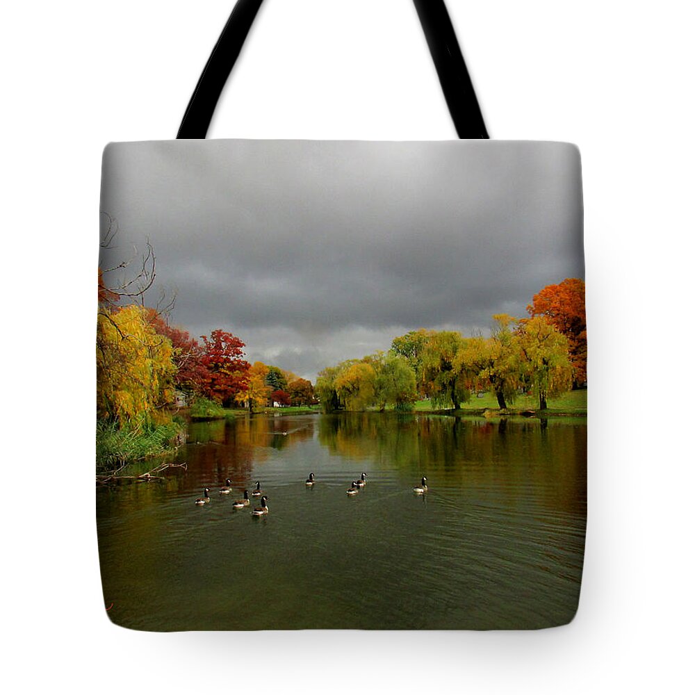 Michigan Tote Bag featuring the photograph Michigan Autumn by Michael Rucker