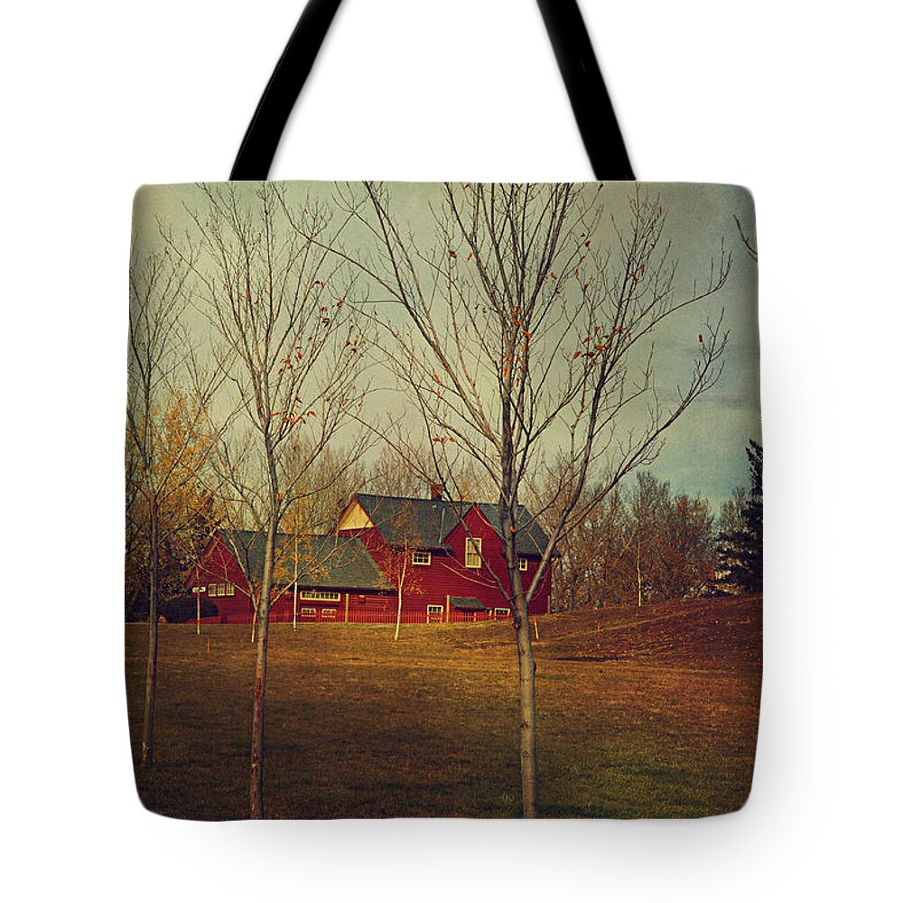 Heritage Park Tote Bag featuring the photograph Midnapore Station - 1910 by Maria Angelica Maira