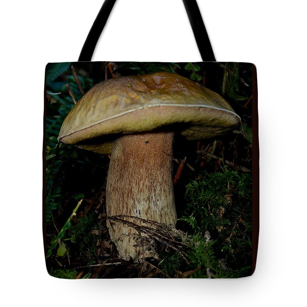 Toadstool Tote Bag featuring the photograph Mighty Toadstool by Laureen Murtha Menzl