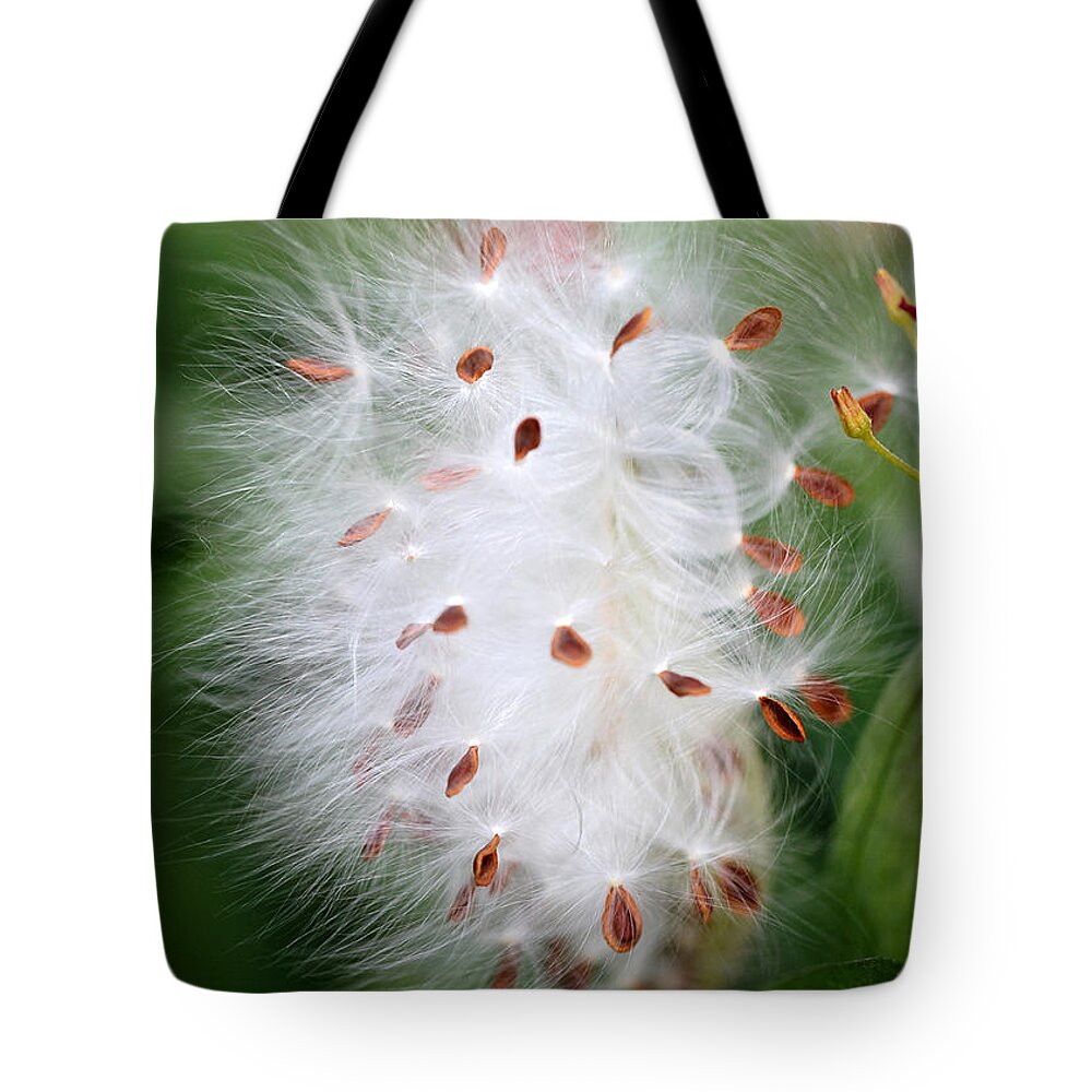 Macro Tote Bag featuring the photograph Milkweed Explosion by Sabrina L Ryan
