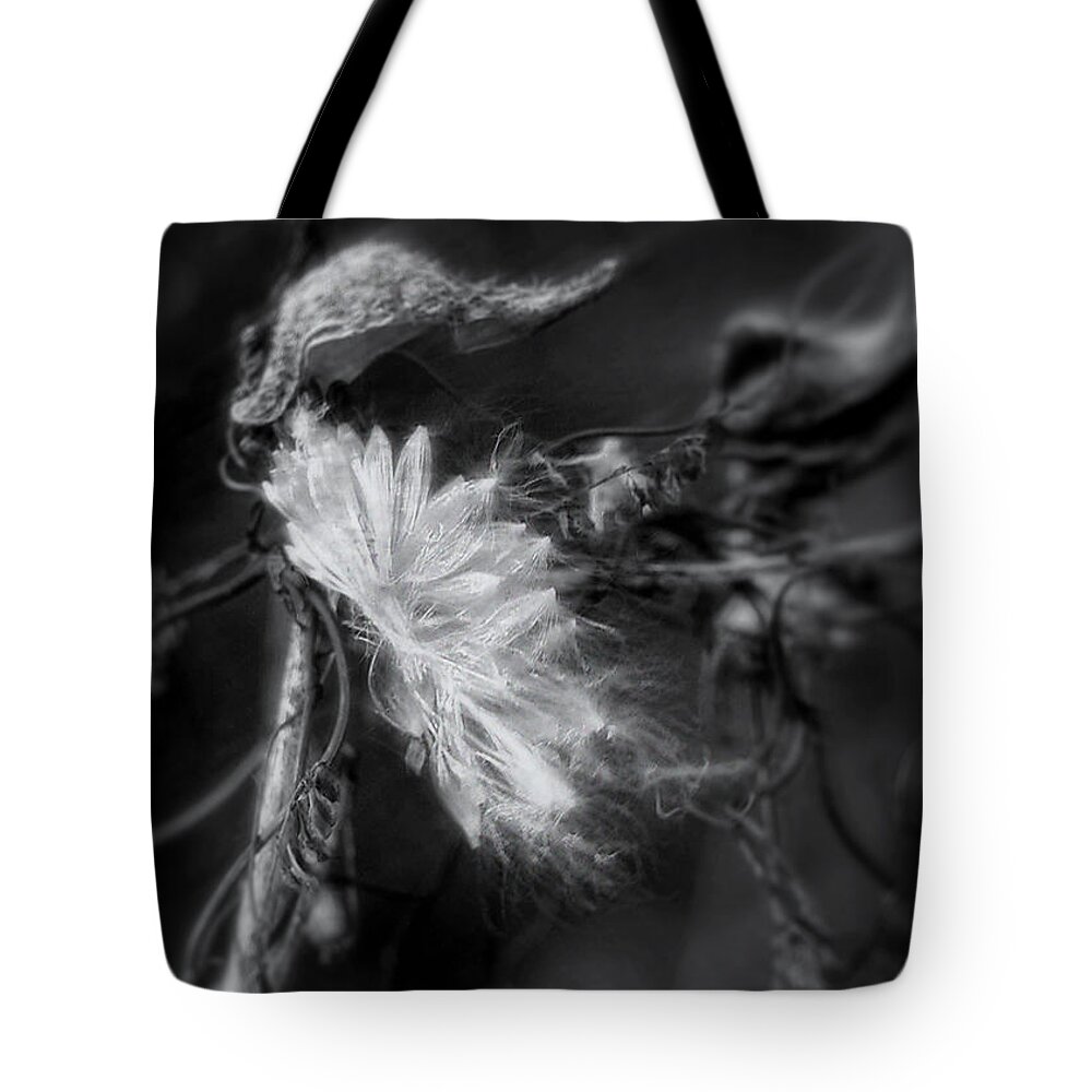 Milkweed Tote Bag featuring the photograph Milkweed by Louise Kumpf