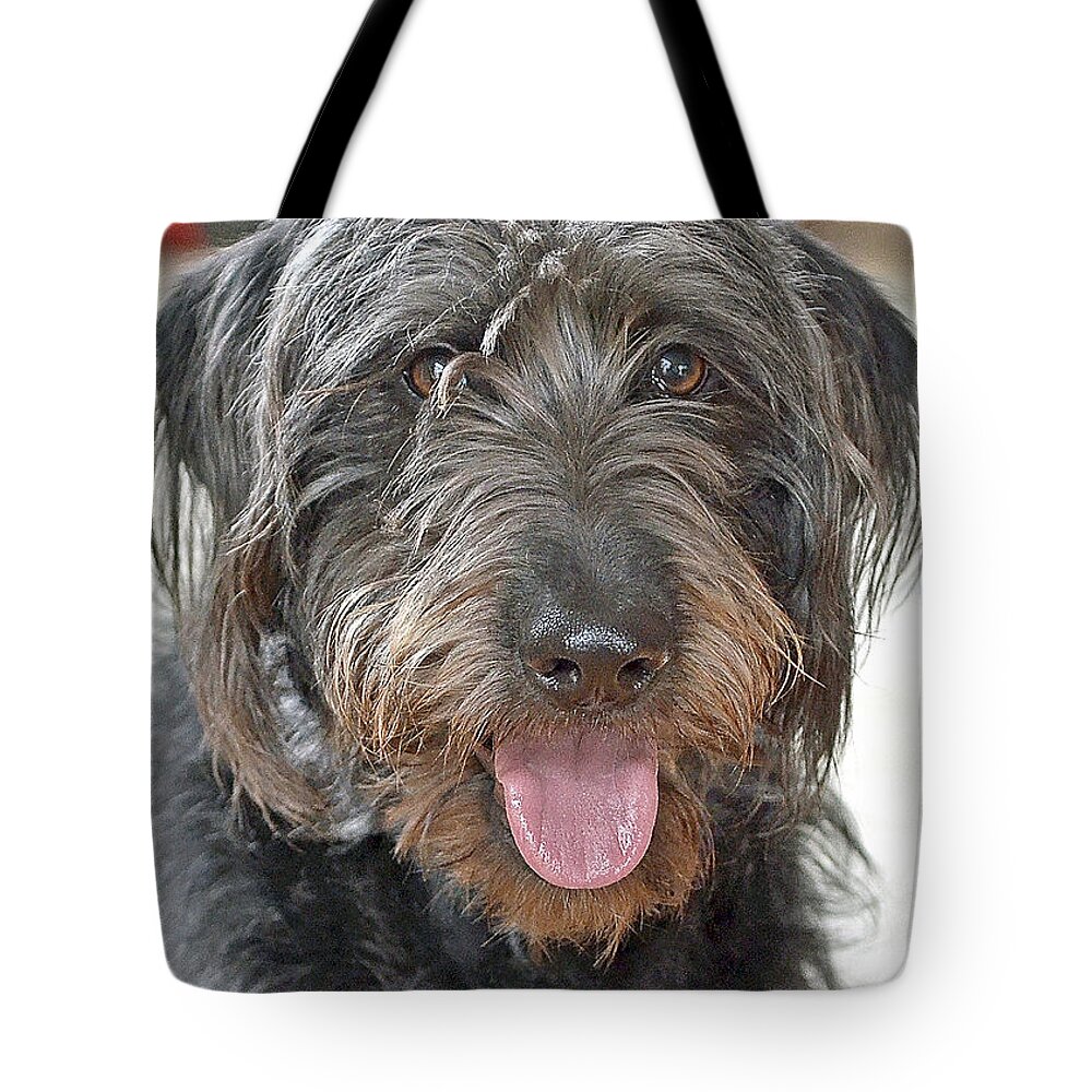 Animals Tote Bag featuring the photograph Milo by Lisa Phillips